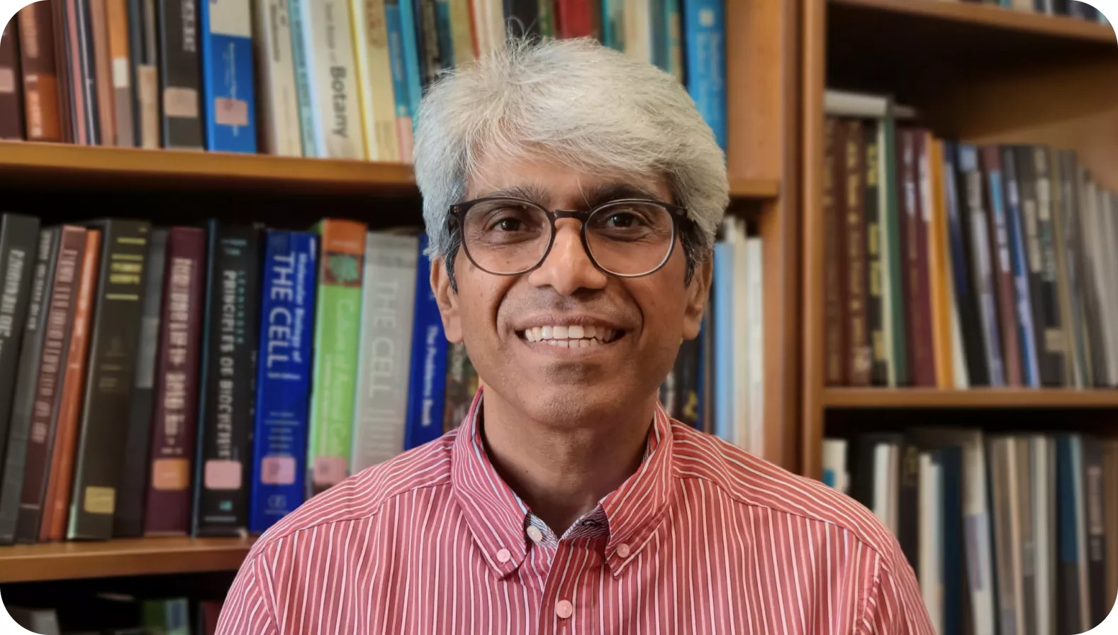 Prof. Dr. Faisal Faisal